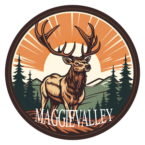 Team Page: Team Maggie Valley